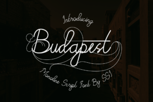 Budapest: A Premium Script Font for Web Design