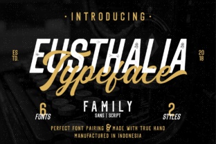 Eusthalia Family: The Ultimate Script Handwritten Font for Crafters
