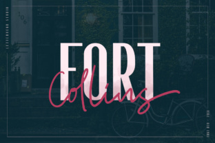 Fort Collins Typeface for Modern Branding