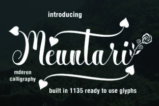 Meuntari Font: Elevate Your Brand Identity