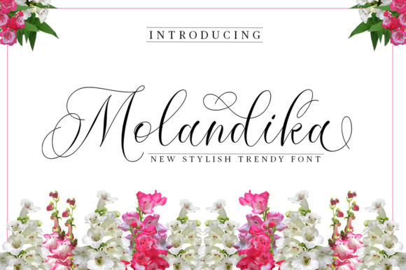 Molandika: Elegant Script Handwritten Fonts for Branding
