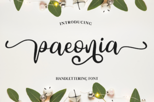 Paeonia Font for Elegant Web Design
