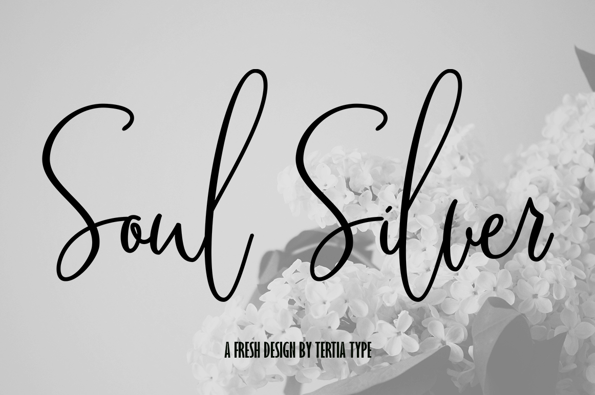 Soul Silver Font for Elegant Campaign Design
