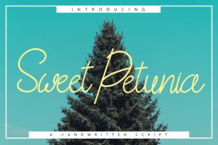 Sweet Petunia Font for Modern Digital Branding