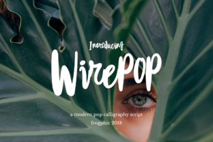 Wirepop: A Modern Script Handwritten Font for Web Design